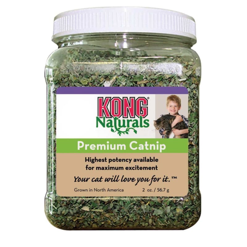 Kong catnip sales