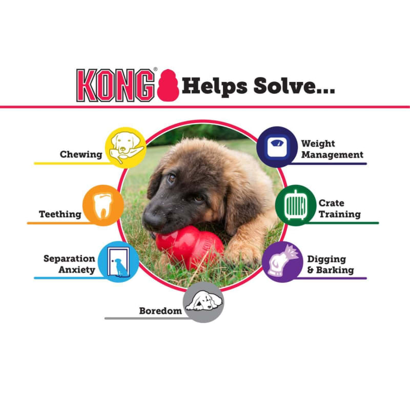 KONG Extreme Chew Dog Toy Black Pet Supermarket
