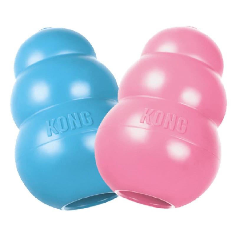 Dog toys uk sales