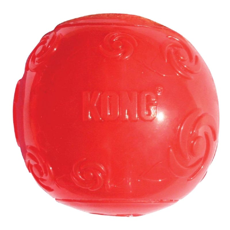 Kong squeezz ball discount