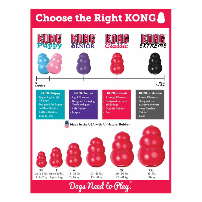 Kong pet circle shop