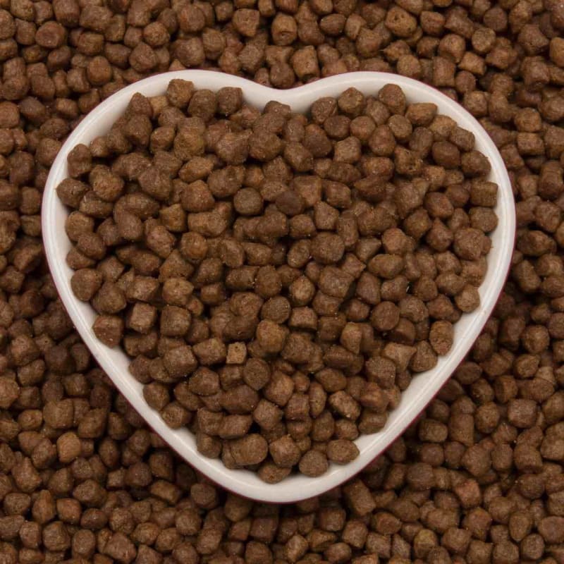 Meowing heads dry cat food 2025