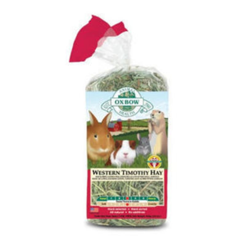 Oxbow guinea pig hay sales