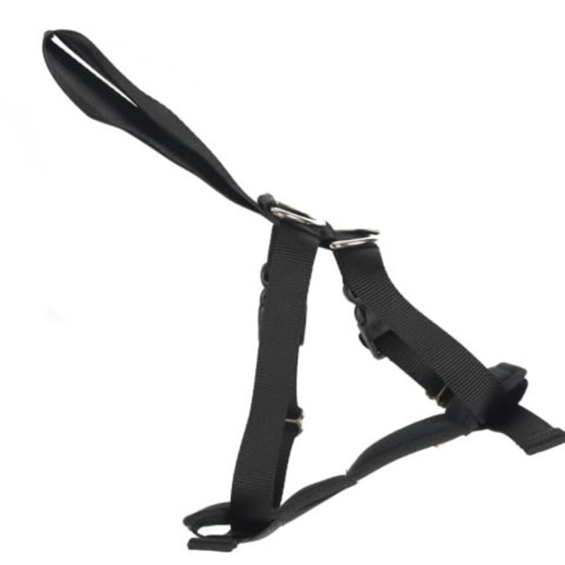 Beau pets car harness top