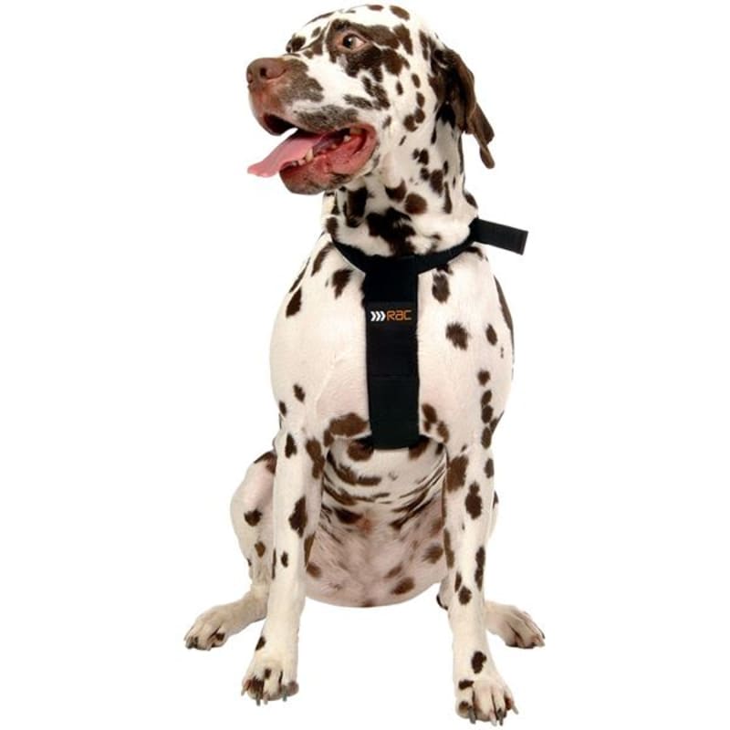 RAC 2 In 1 Car Safety Dog Harness Pet Supermarket