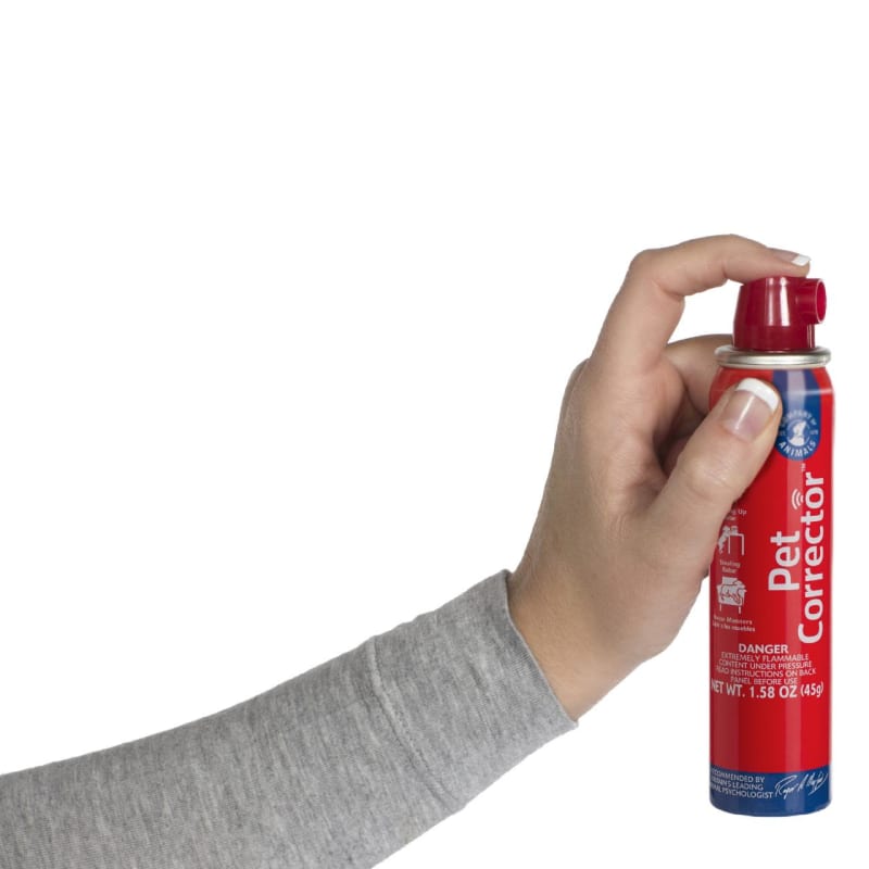 Company of Animals Pet Corrector Pet Supermarket