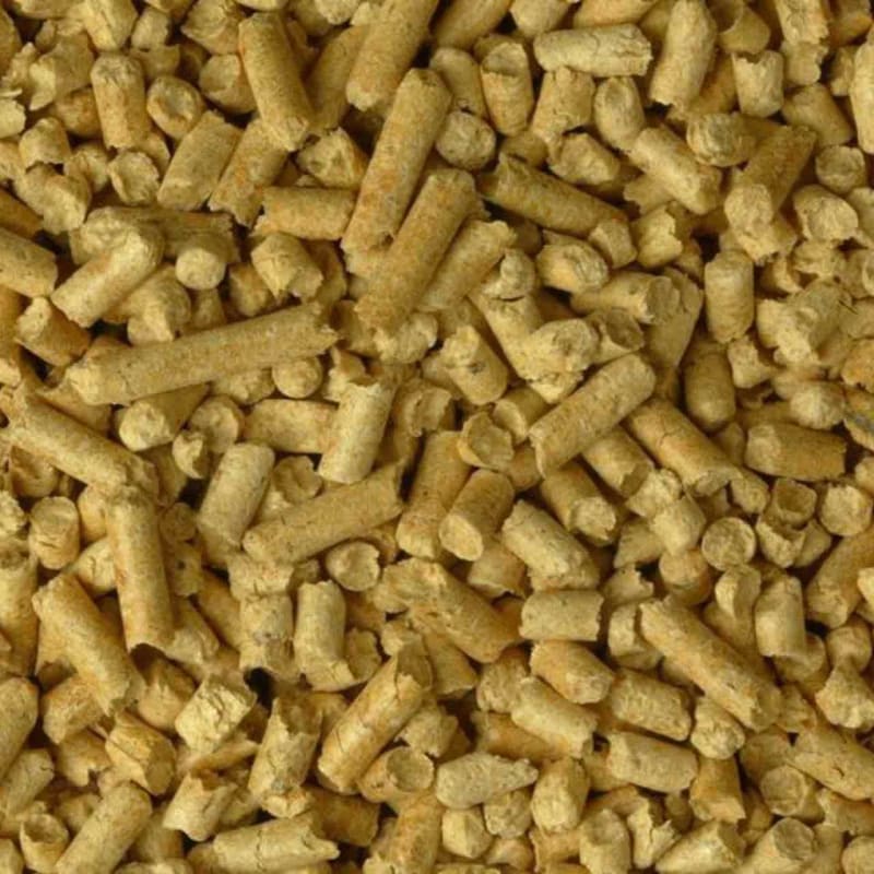 Pampuss cat litter cheap