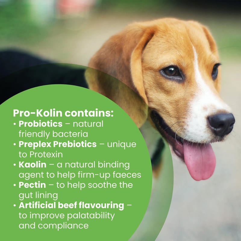 Protexin Pro-Kolin Probiotic and