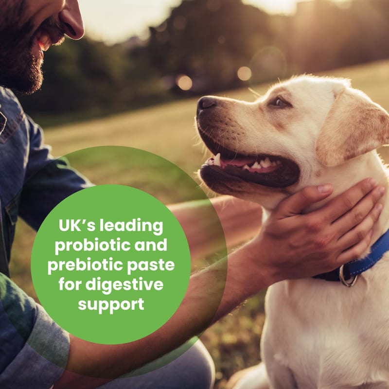 Probiotic paste for discount dogs uk