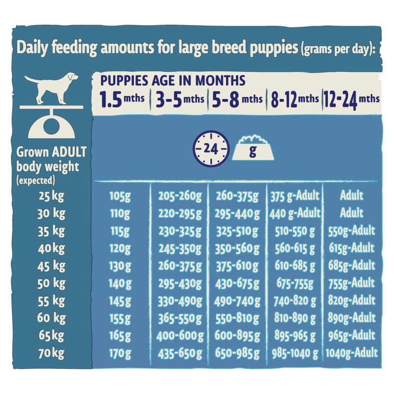 Feeding a 2025 large breed puppy