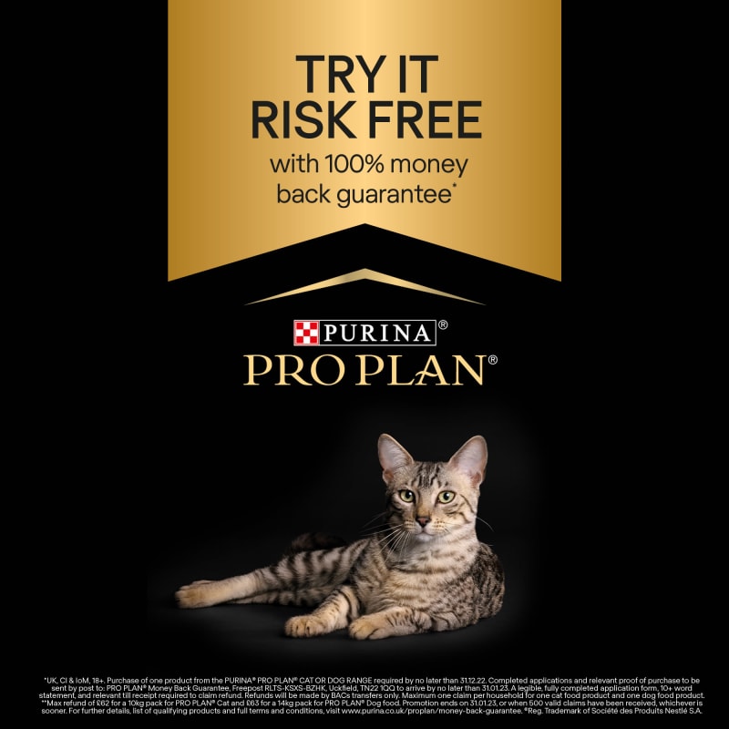 Purina sterilised cat on sale