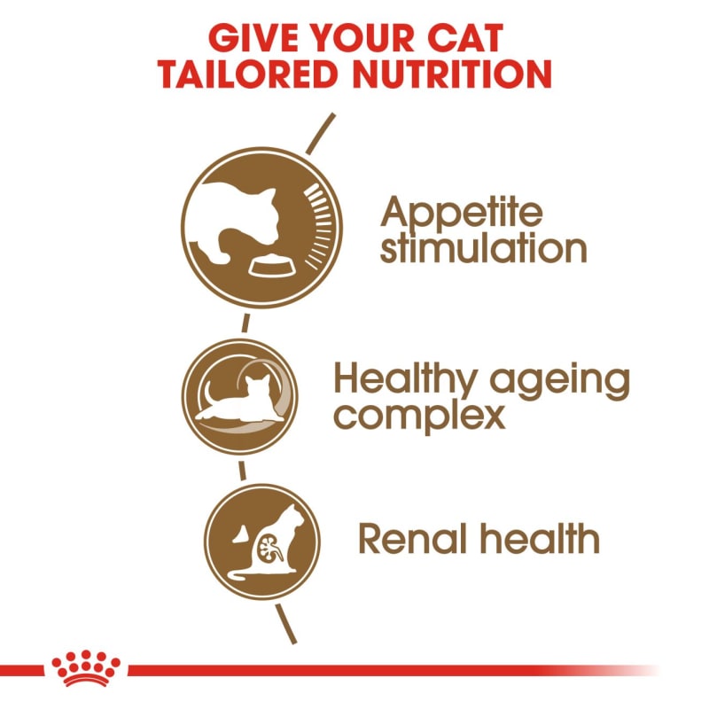 Royal Canin Ageing 12 Senior Cat Pet Supermarket