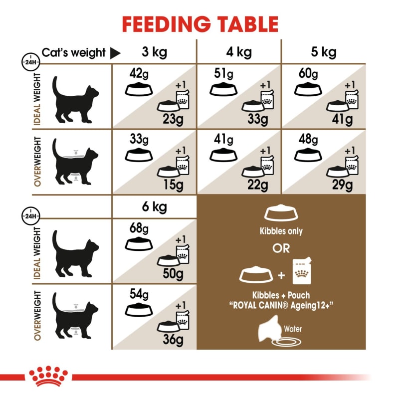 Royal canin feline senior clearance