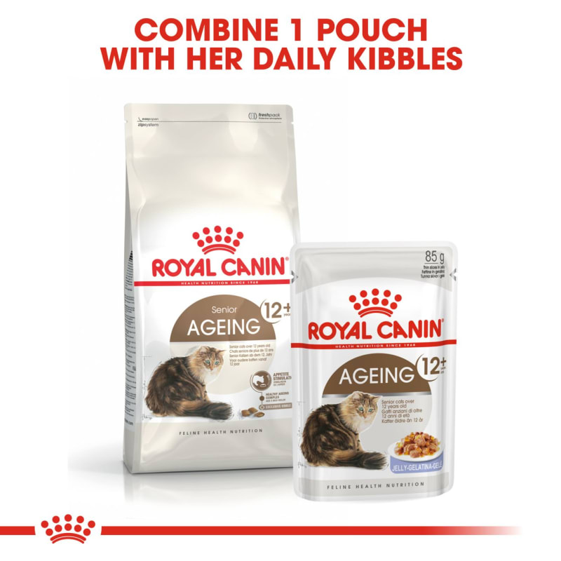Royal canin senior dry dog food sale