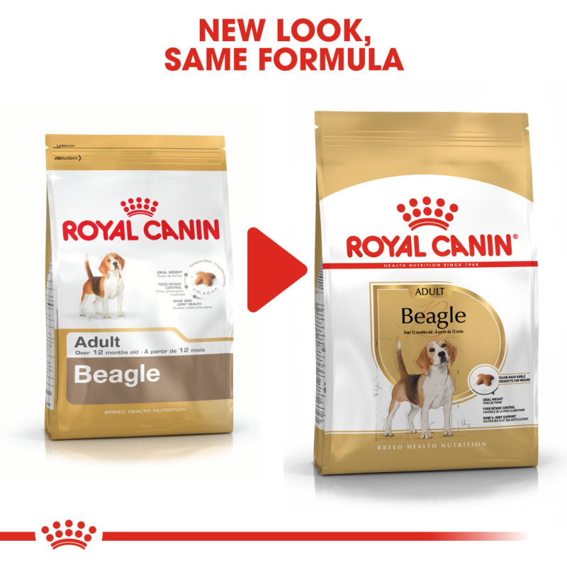 Healthy treats for beagles sales