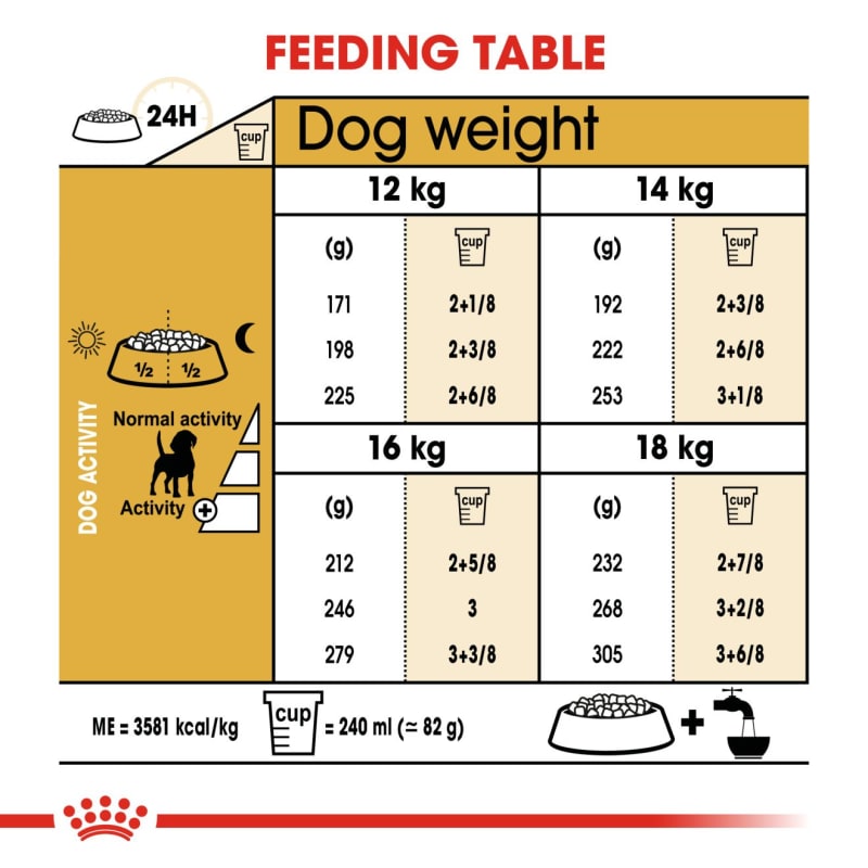 Royal canin online beagle starter
