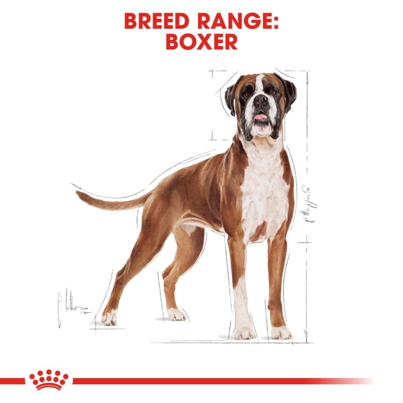 Royal canin boxer petsmart top