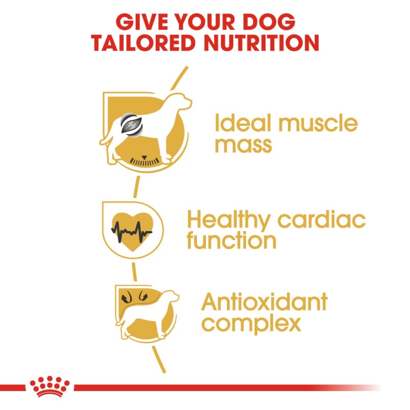 Royal Canin Boxer Adult Dog Dry Food Pet Supermarket