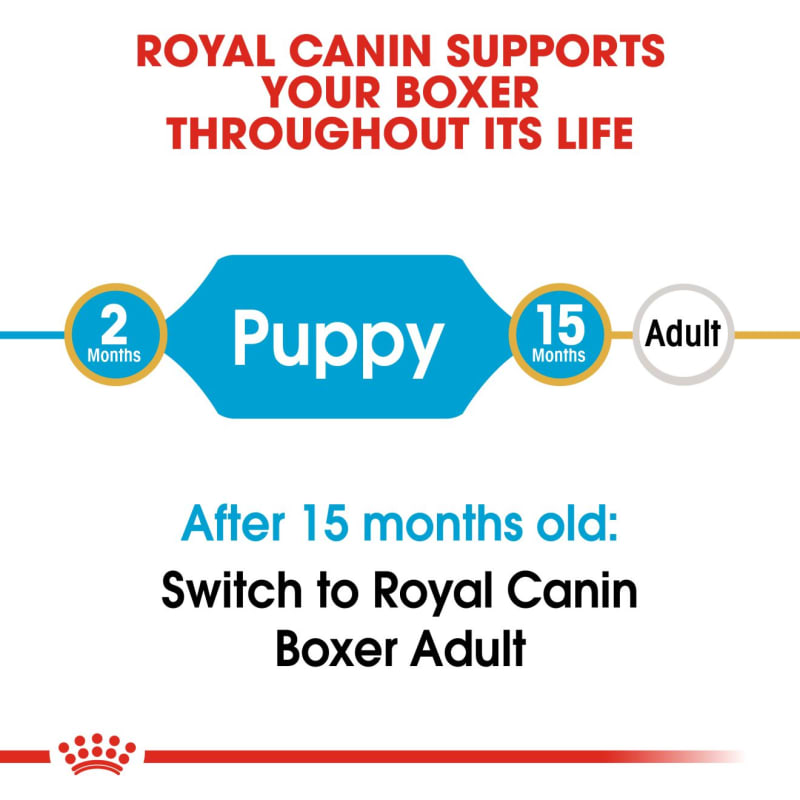 Royal canin shop boxer adult
