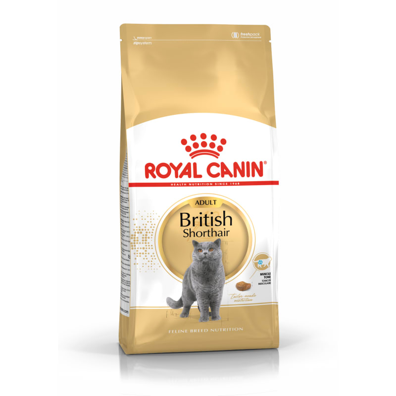 Royal canin feline british shorthair outlet