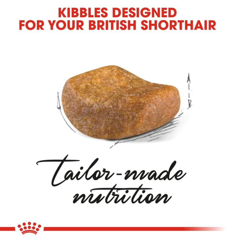 Royal canin british shorthair food 2025