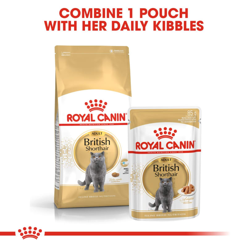 Royal Canin Feline Breed Nutrition British Shorthair Adult Dry Pet Food for Cat 4kg