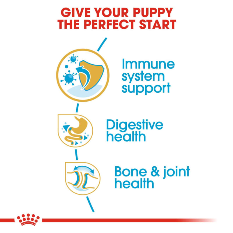Royal canin bulldog puppy 12kg sales