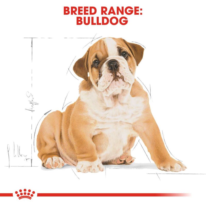 Royal canin shop puppy chiot bulldog