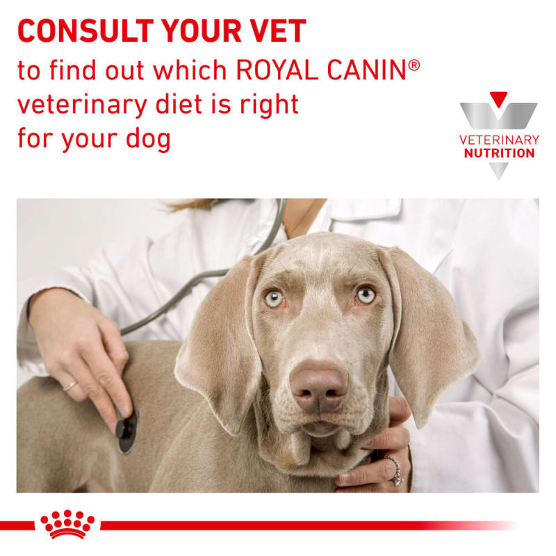 Royal Canin Veterinary Health Pet Supermarket