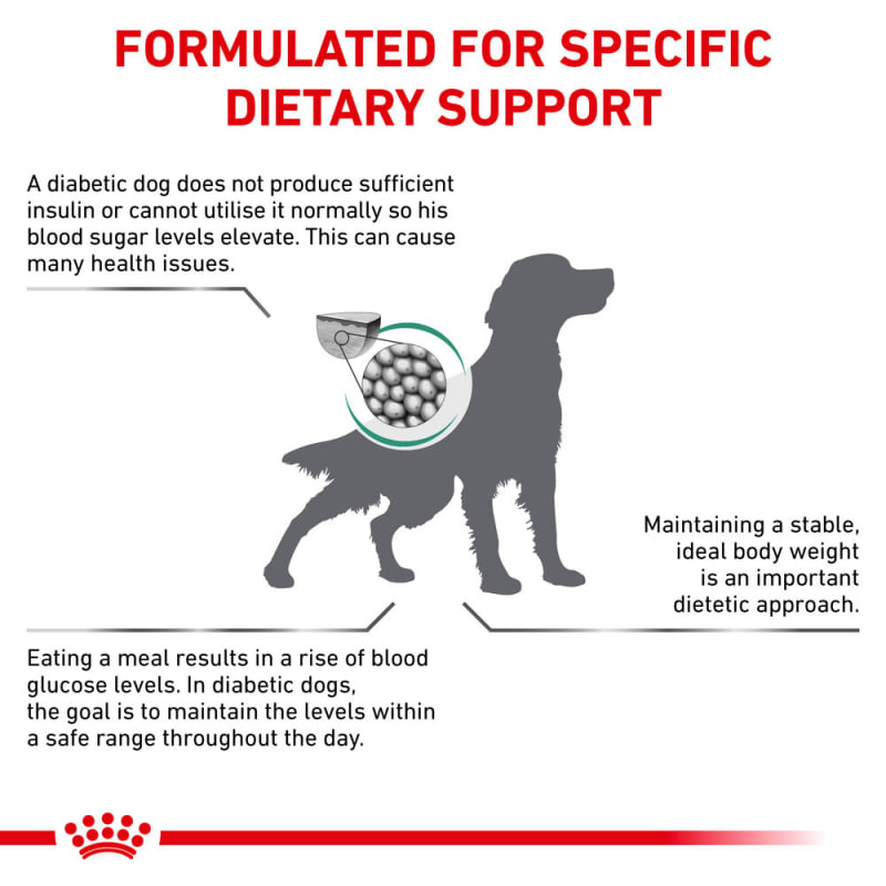 Royal canin diabetic dog food 12kg shop