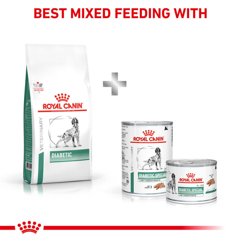 Royal canin for diabetic dogs top
