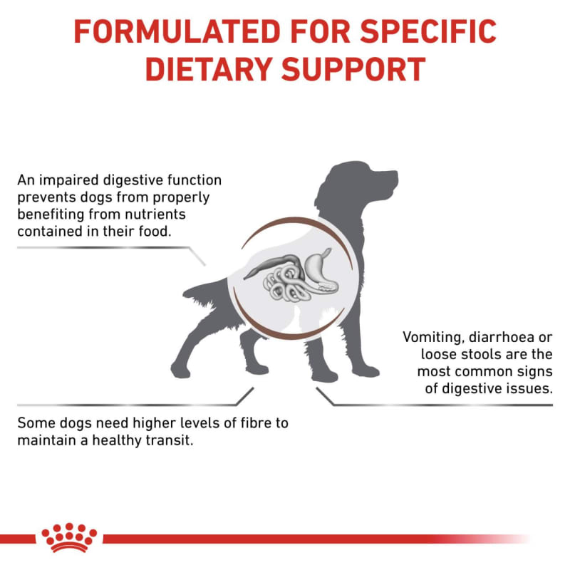 Royal Canin Gastrointestinal High Pet Supermarket