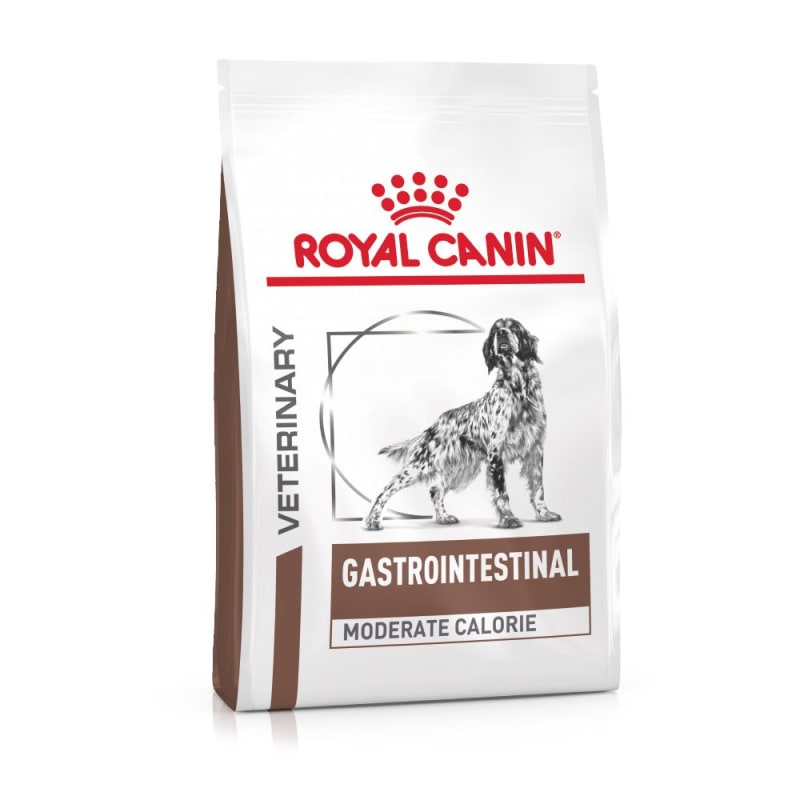 Royal canin digestive health dog food hotsell