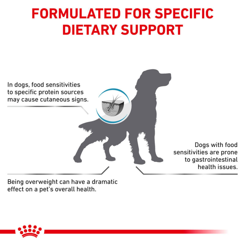 Royal canin hypoallergenic outlet moderate calorie hund