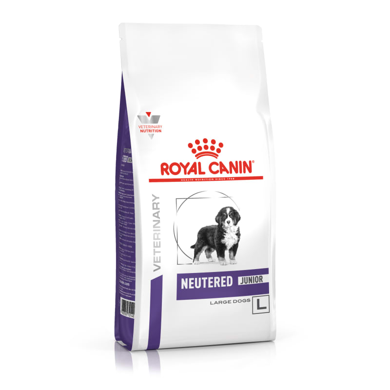 Large breed royal sales canin