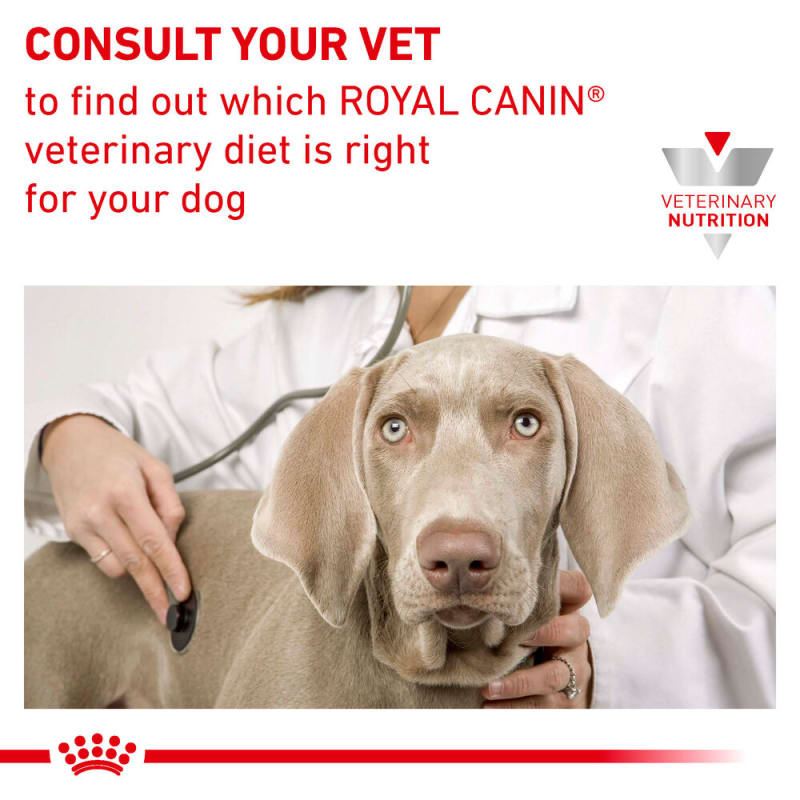 Royal canin tear sales stains