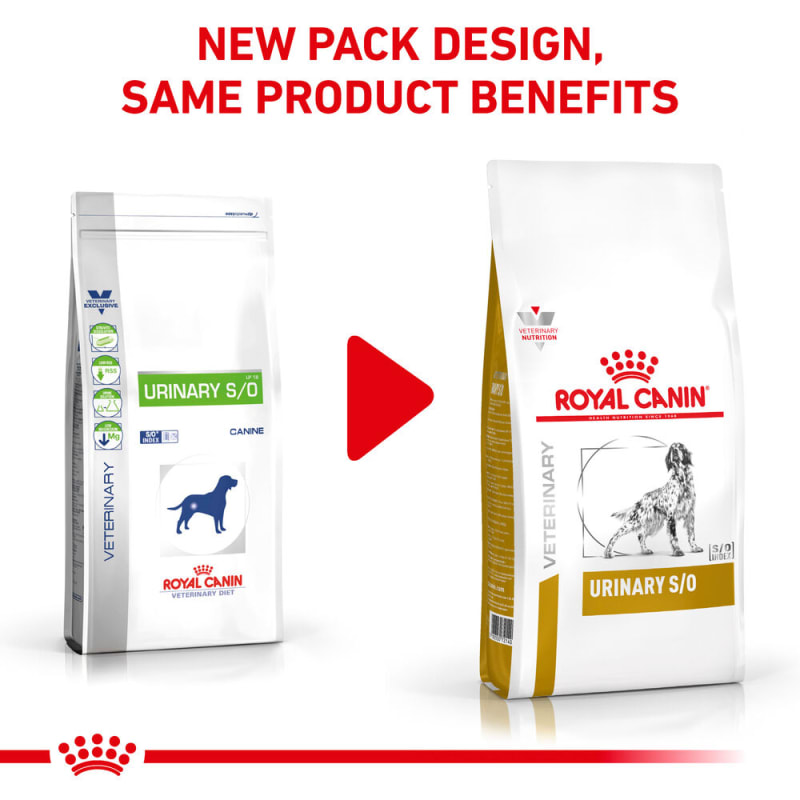 Royal canin canine urinary so 2025