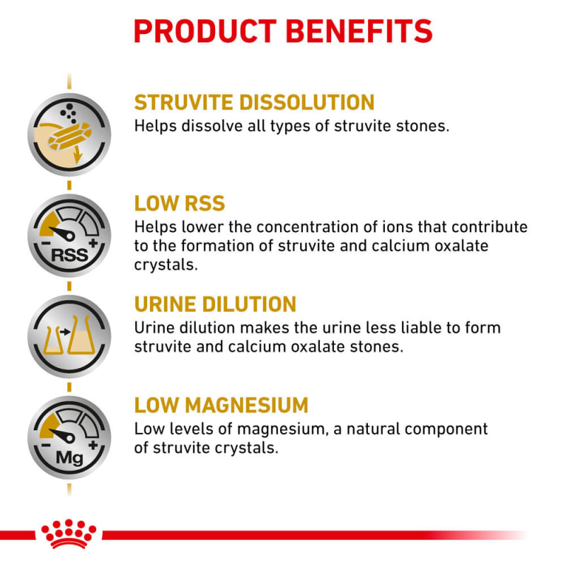 Struvite royal canin on sale