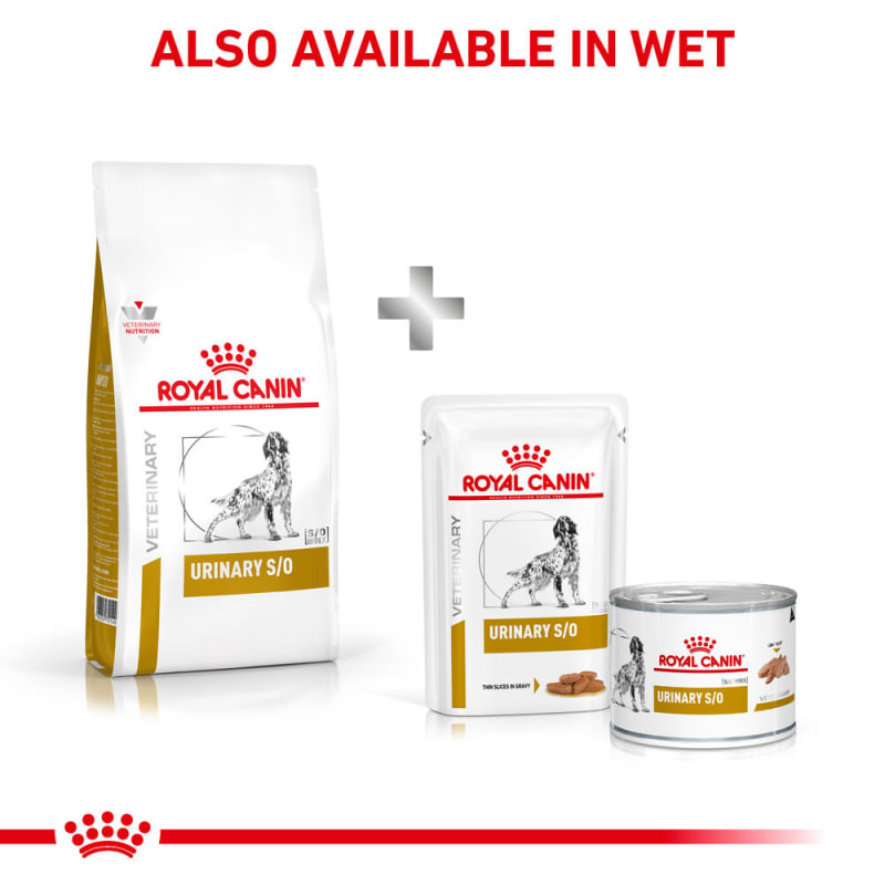 Royal canin urinary so canned dog food hotsell