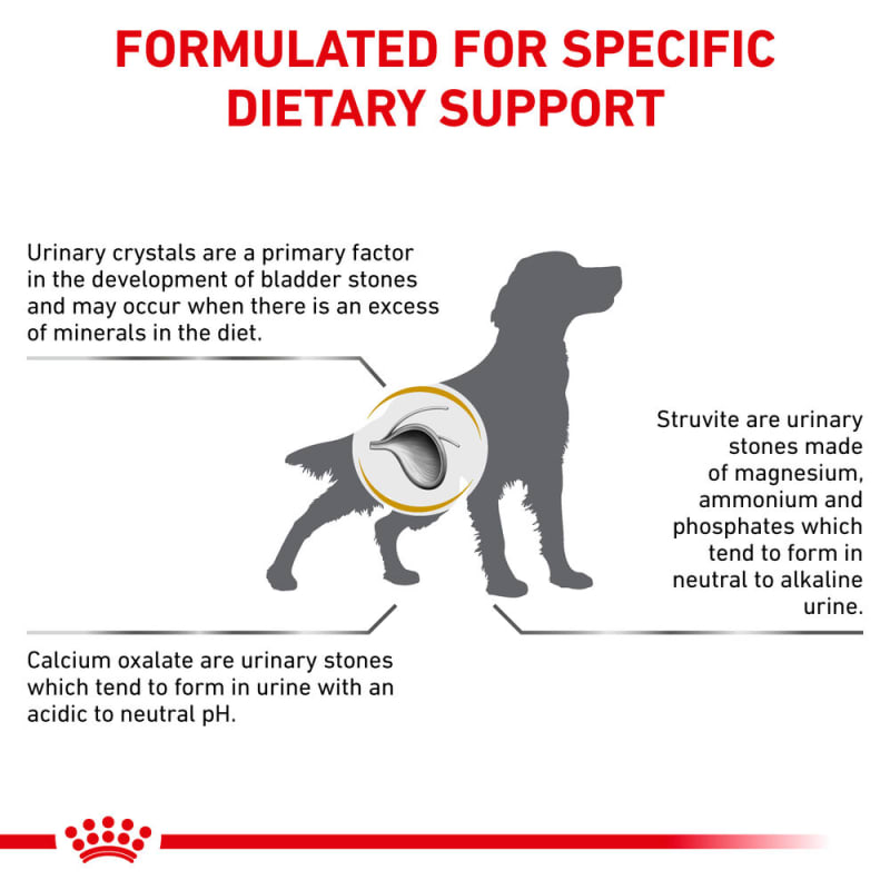 Dog food for urine crystals hot sale