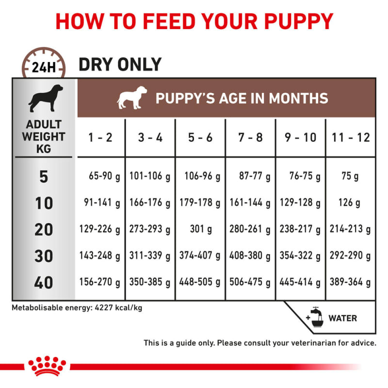 Puppy feeding chart uk online