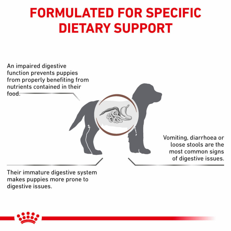 Royal canin veterinary diet outlet gastrointestinal puppy dry dog food