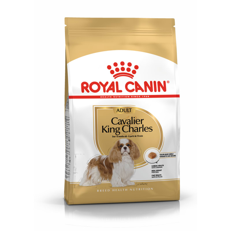 Best food for cavalier king charles spaniel top