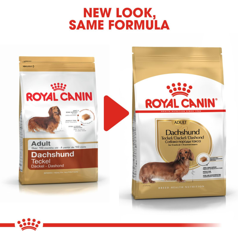 Dachshund vitamins for back hot sale