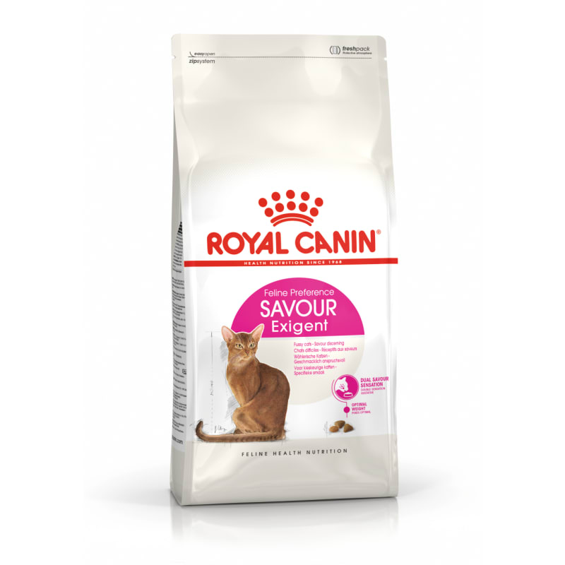 Royal canin dry food for cats best sale