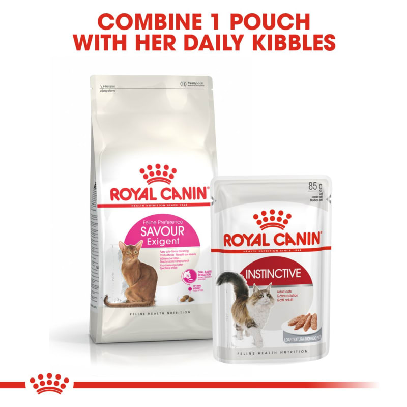 Royal canin exigent dog best sale