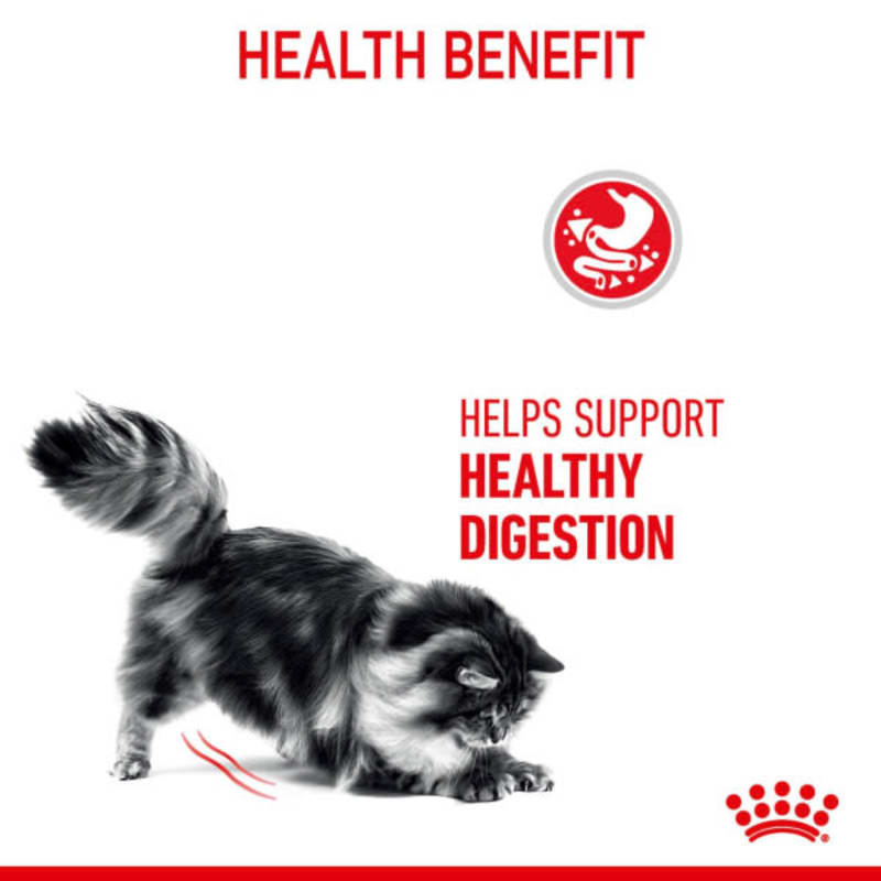 Cat food that outlet helps with digestion
