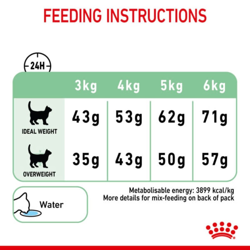 Royal canin hotsell digestive cat
