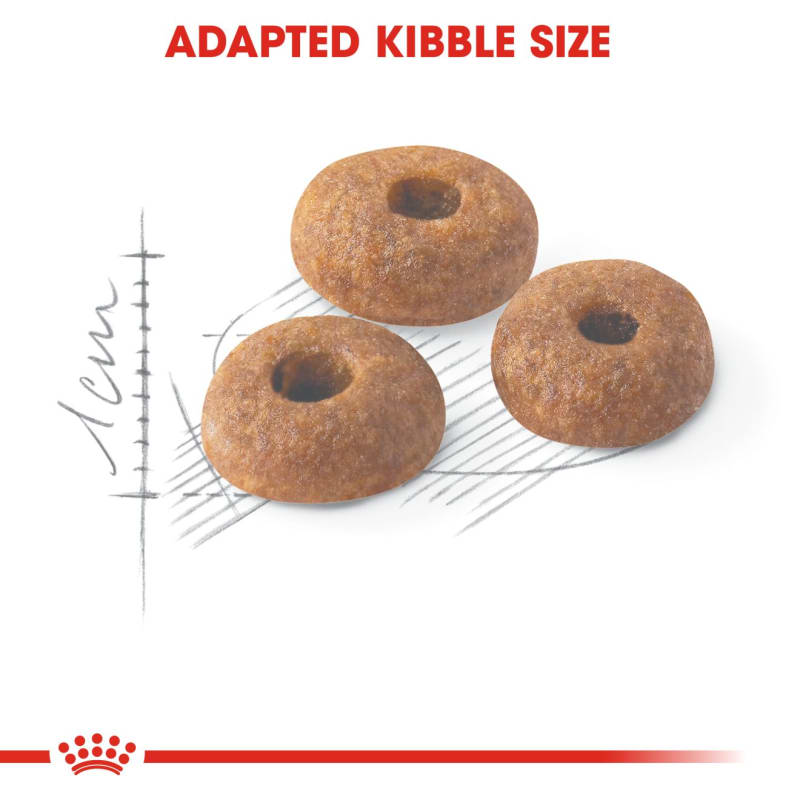 Royal canin 32 2025