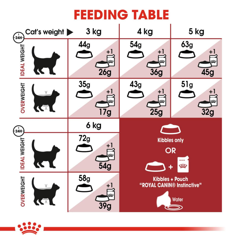 Royal canin sales fit cat